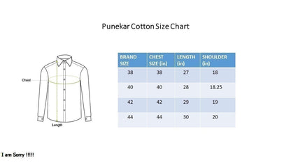 Punekar Cotton Orange Color Rich Cotton Formal Shirt For Men&